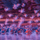 Illustration for article titled Wildlife Photo Contest Shows Nature Can Be Cruel—But Also Kind